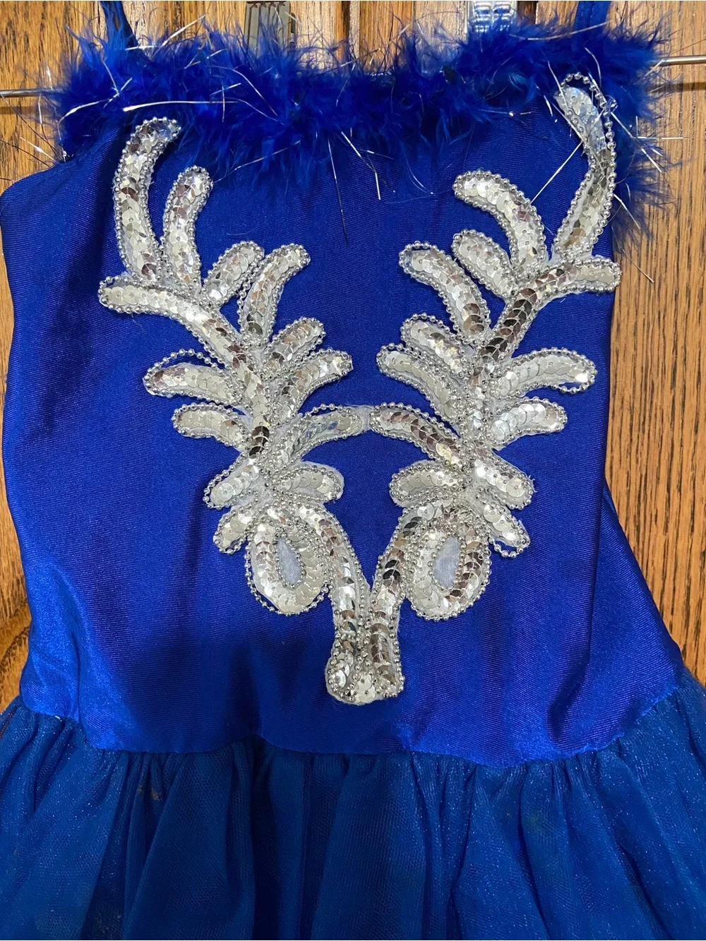 Royal Blue Girls' Tulle Dance Costume with Silver Sequin Applique